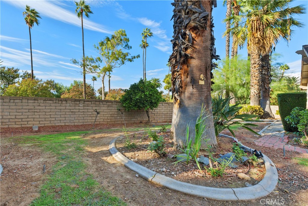 6631 Wintertree Drive Property Photo 36