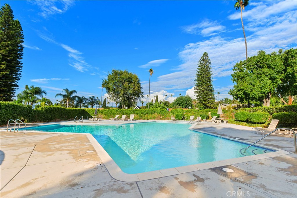 6631 Wintertree Drive Property Photo 41