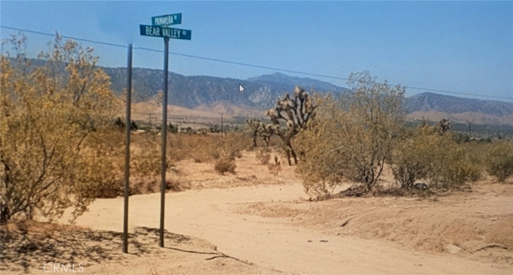 0 BEAR VALLEY RD/PRIMAVERA RD