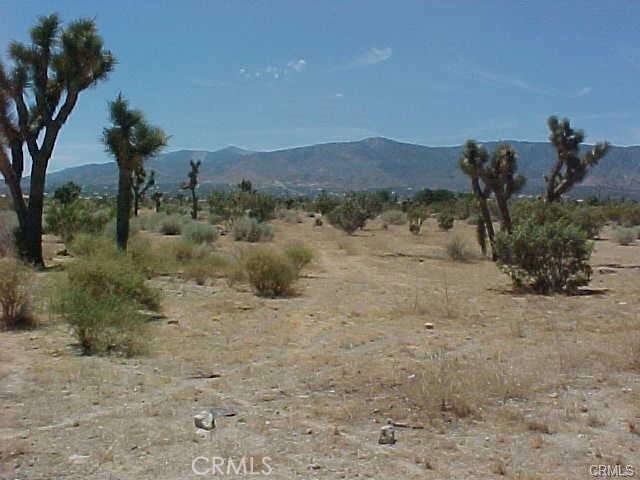 0 Bear Valley Rd/primavera Rd Property Photo 2