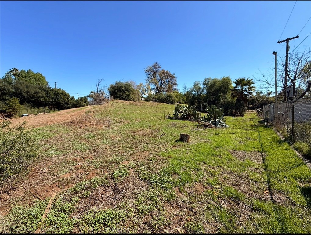 1795 Prince Albert Property Photo 8