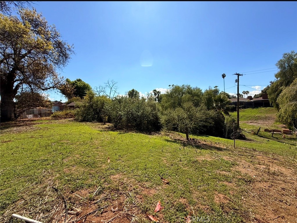 1795 Prince Albert Property Photo 9