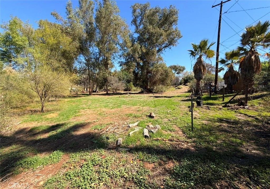 1795 Prince Albert Property Photo 10