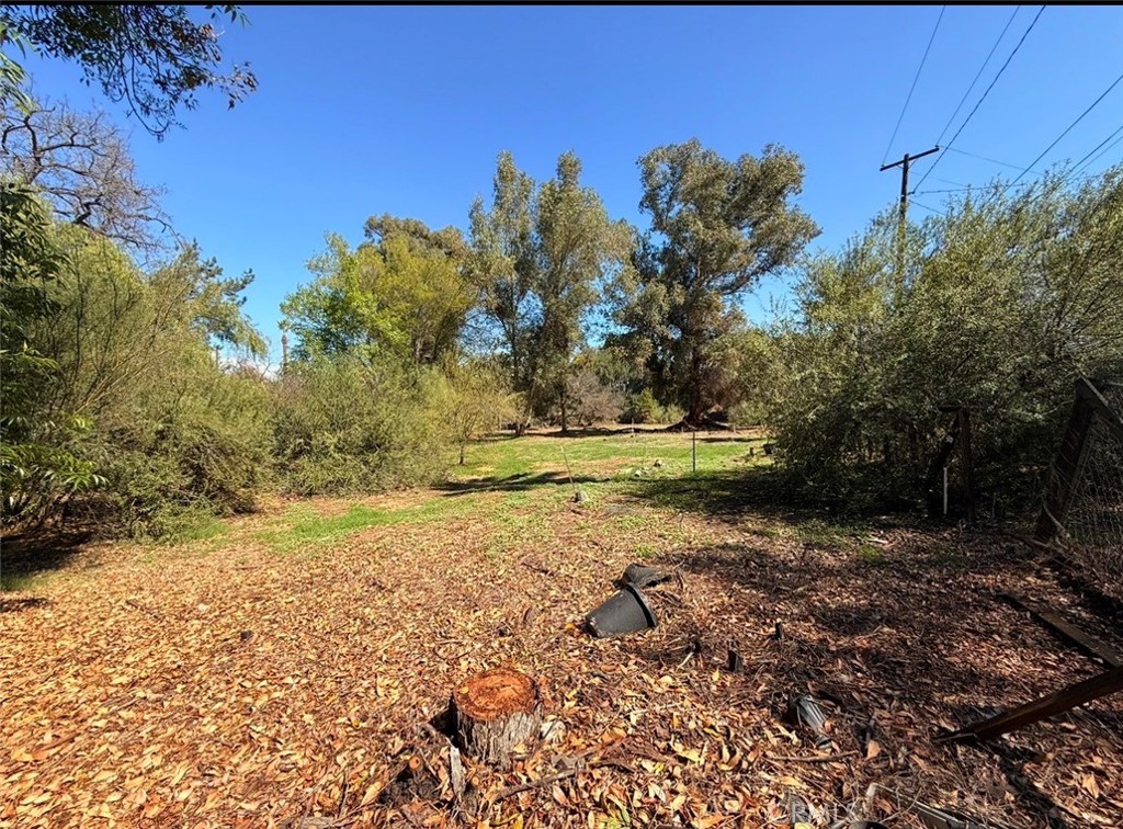 1795 Prince Albert Property Photo 11
