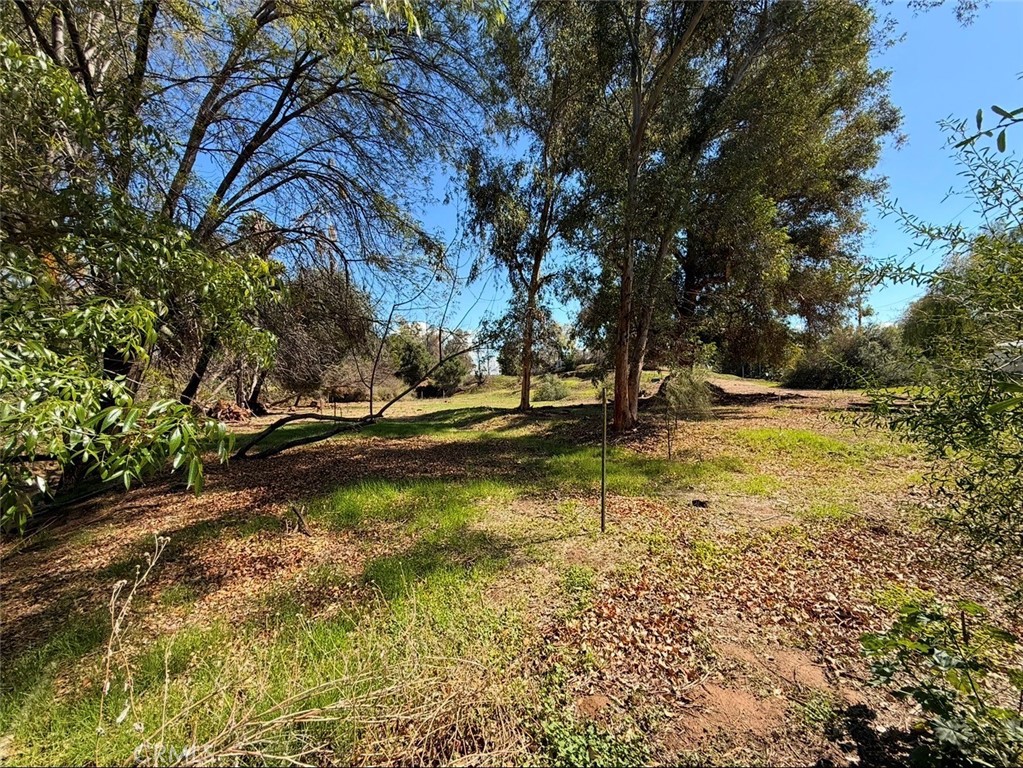 1795 Prince Albert Property Photo 12