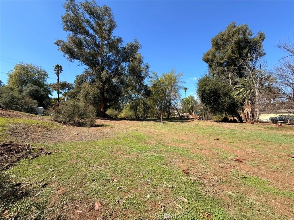 1795 Prince Albert Property Photo 13