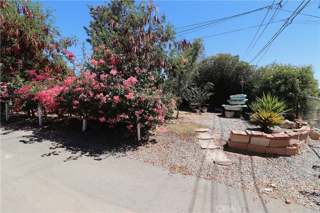 18100 Tereticornis Property Photo 3