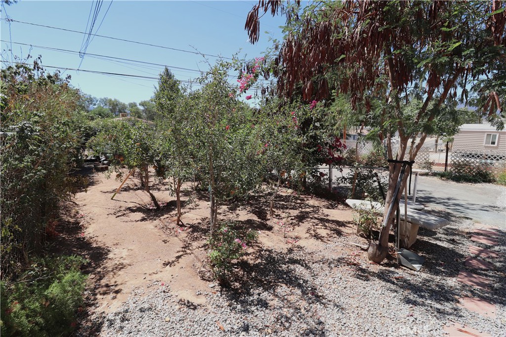 18100 Tereticornis Property Photo 5