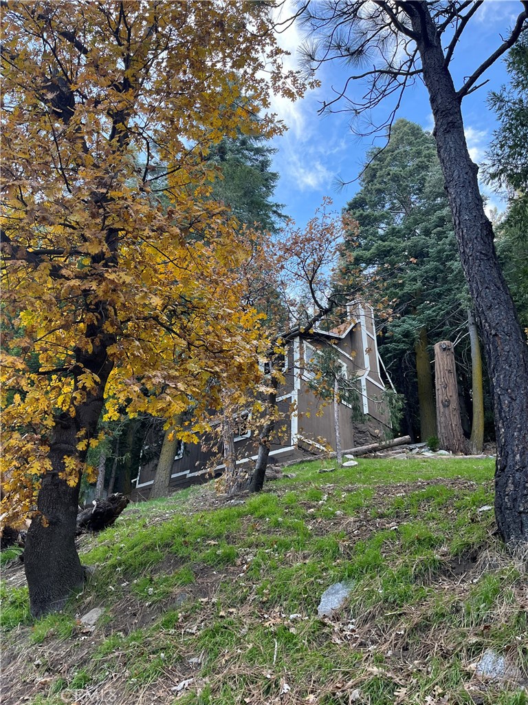 404 Mozumdar Property Photo 44