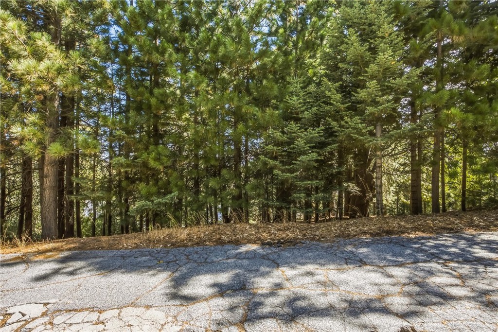 299 Fairway Property Photo 59