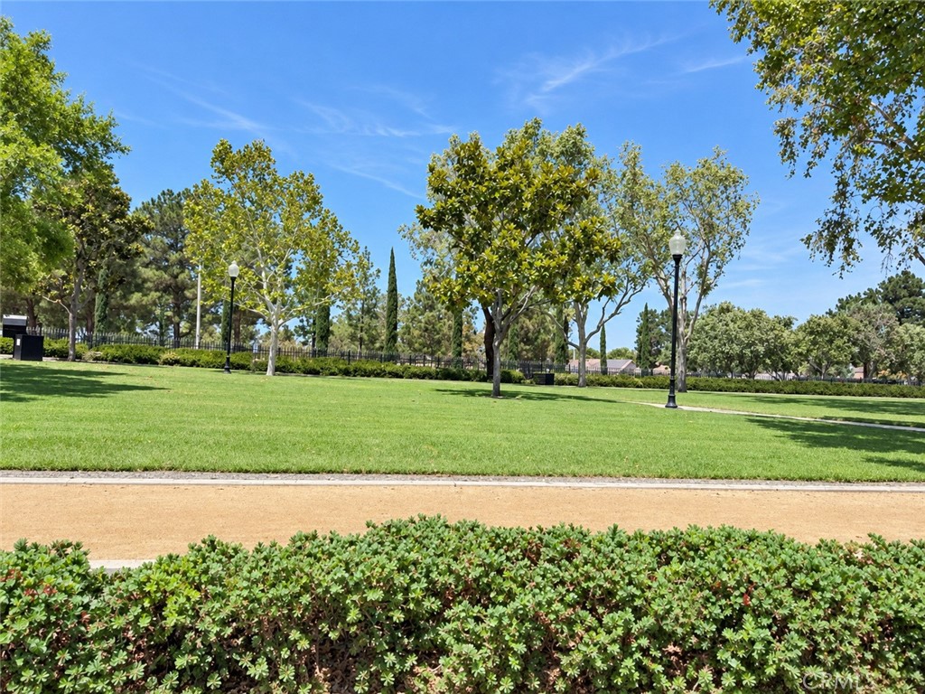 16786 Via Pamplona Property Photo 63