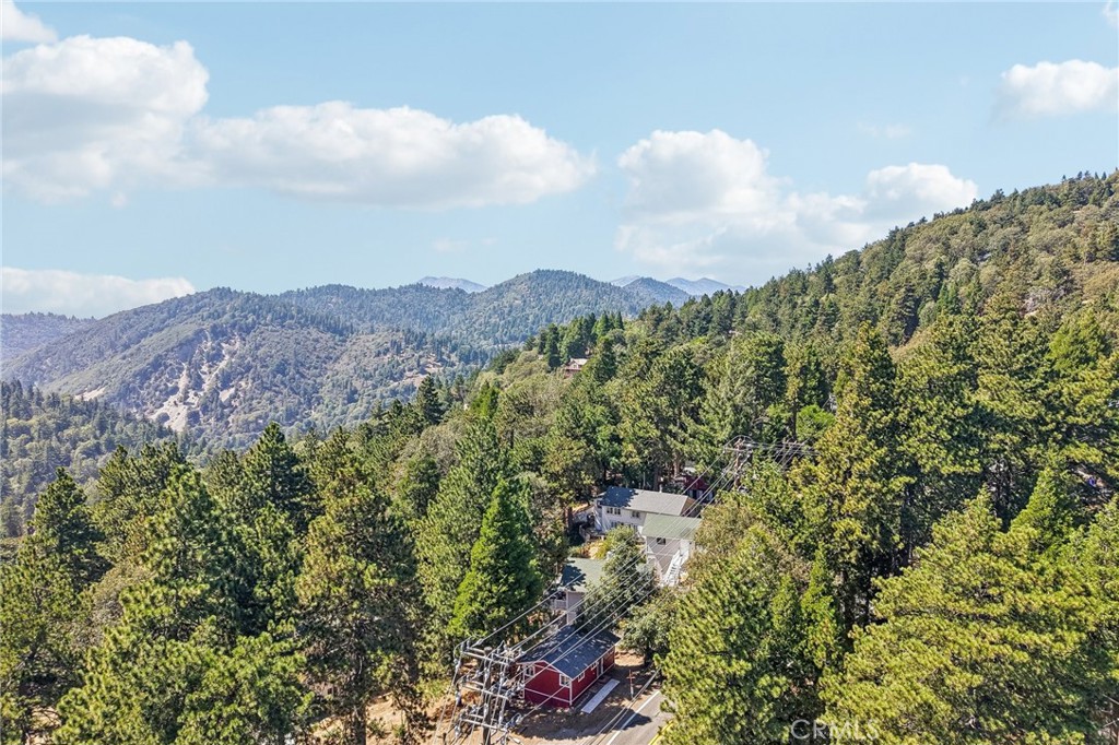 21461 Crest Forest Property Photo 30