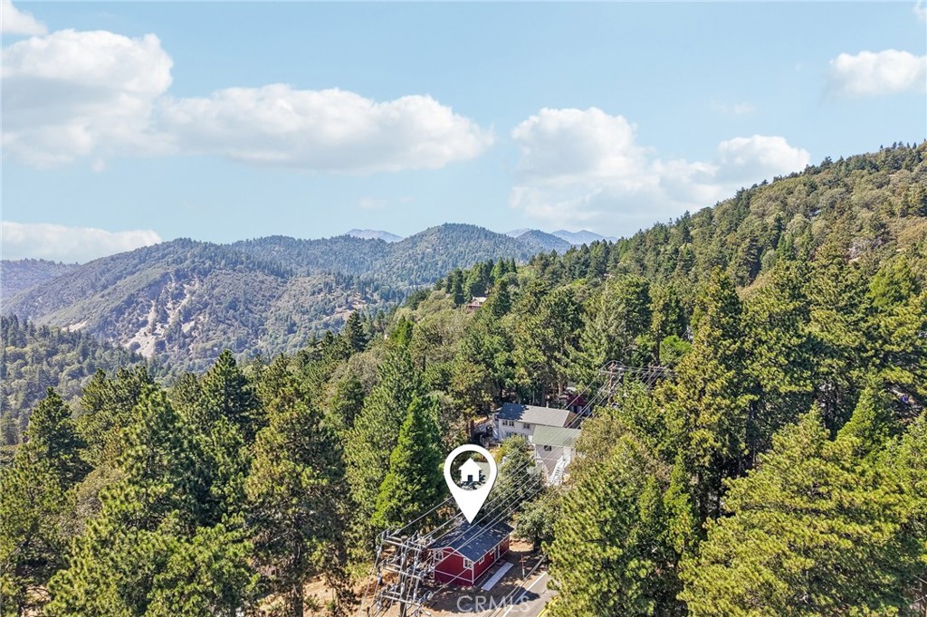 21461 Crest Forest Property Photo 31