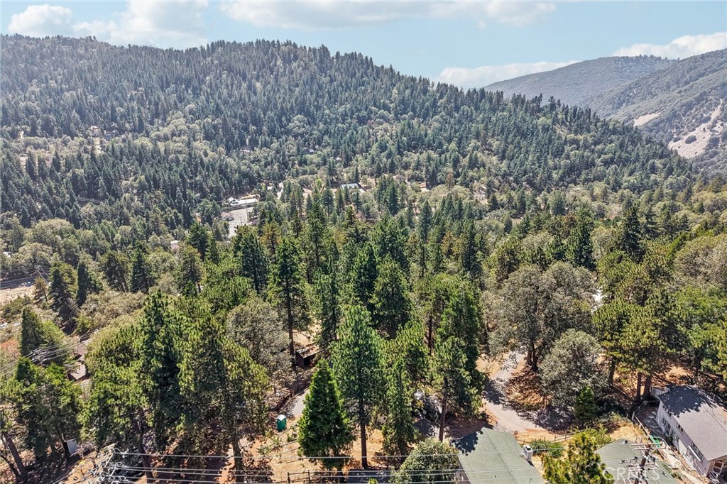 21461 Crest Forest Property Photo 33