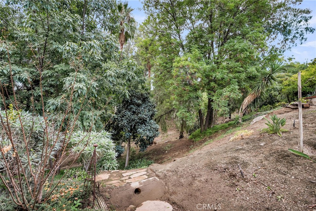 2252 El Capitan Property Photo 36