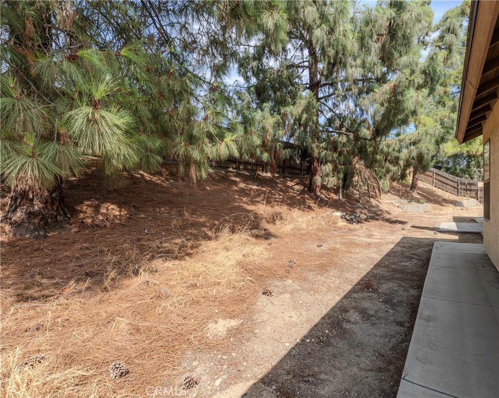2395 Marigold Property Photo 30