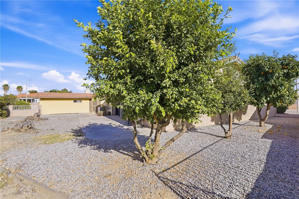 2518 Beech Tree Property Photo 26