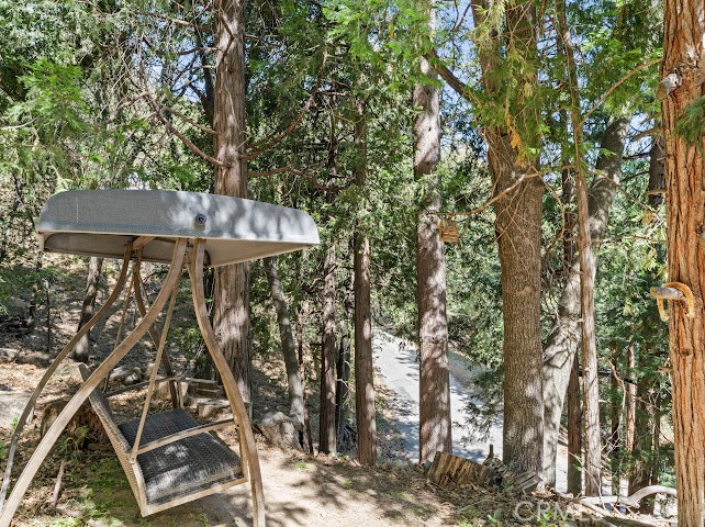 24834 Edelweiss Drive Property Photo 29