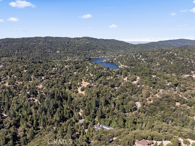 24834 Edelweiss Drive Property Photo 34