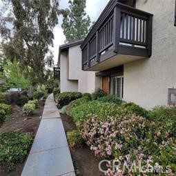 774 Via Sierra Nevada Property Photo 3