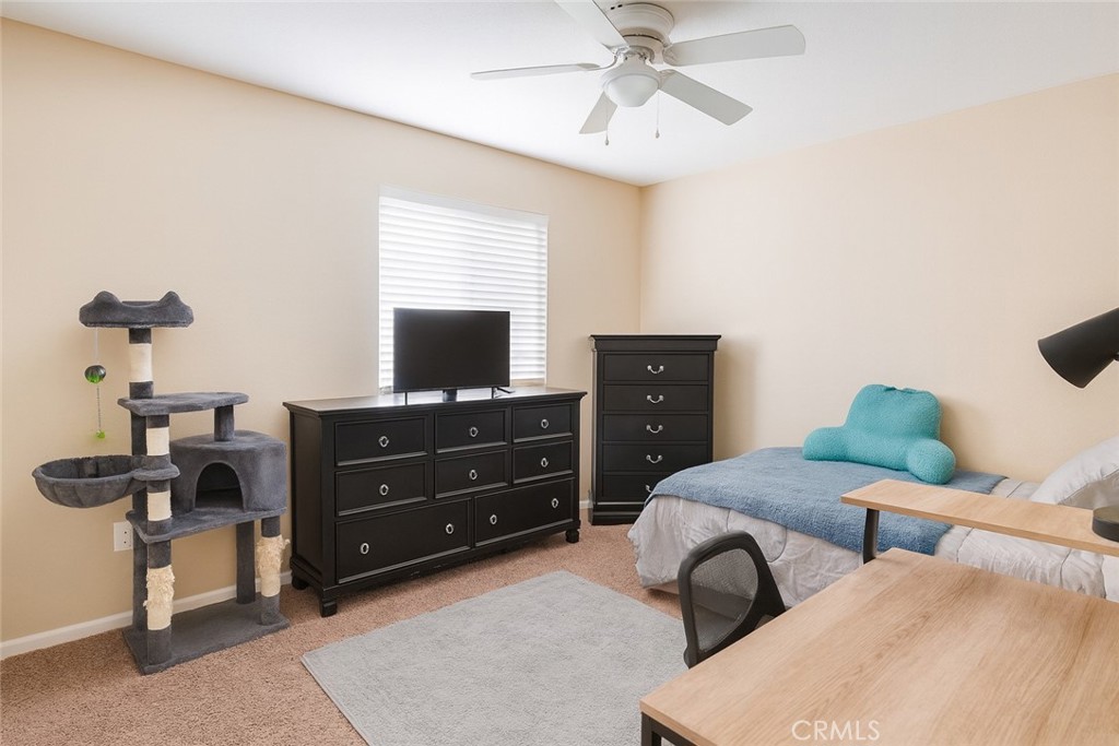 13674 Buena Vista Property Photo 43