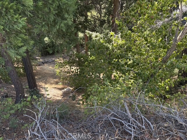 27917 Squirrel Lane Property Photo 29