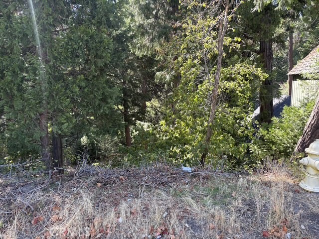 27917 Squirrel Lane Property Photo 31