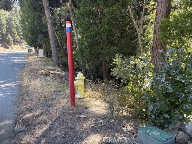 27917 Squirrel Lane Property Photo 33