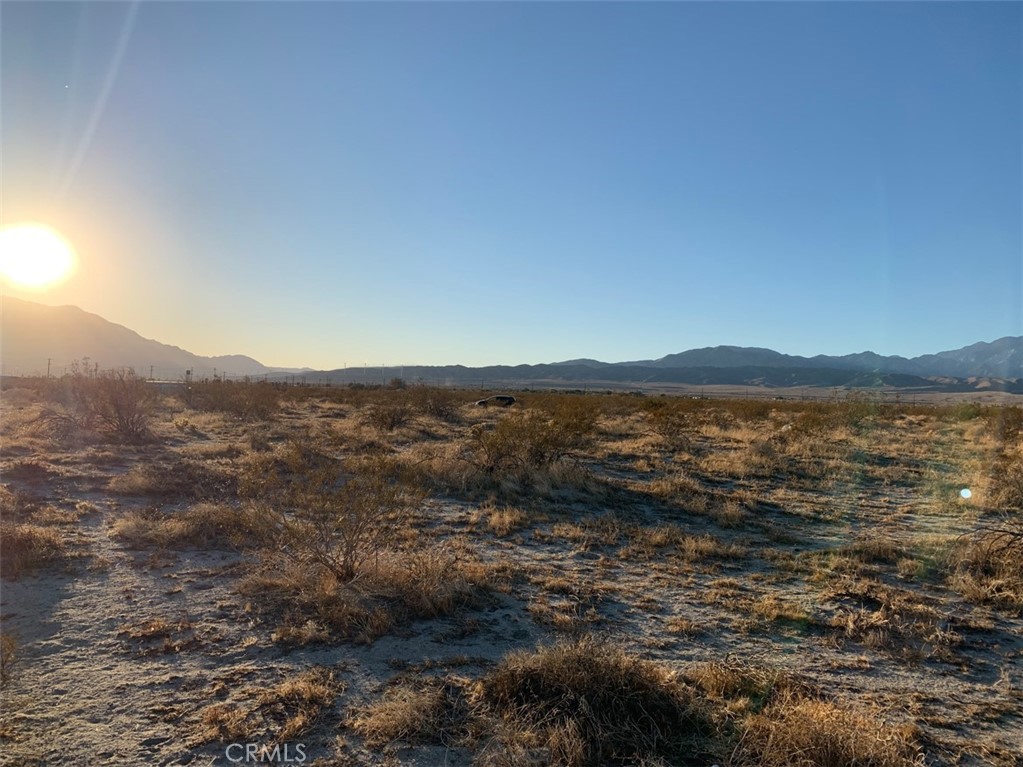 11650 Desert Terrace Way Property Photo 1