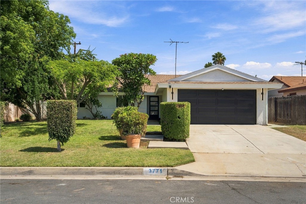 3771 Briarvale Property Photo 2