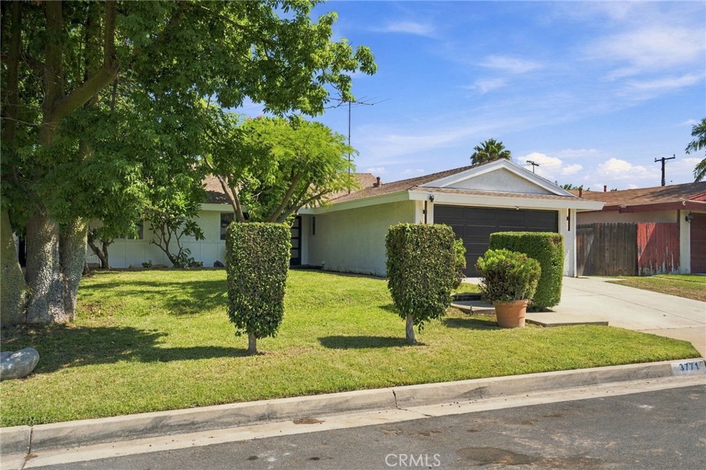 3771 Briarvale Property Photo 4