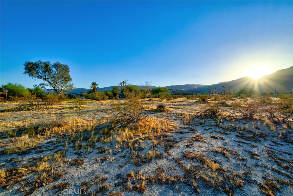 610 Cloudy Moon Drive Property Photo 1