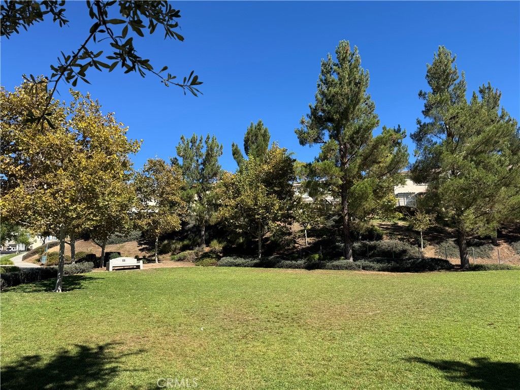 33333 Wallace Property Photo 34