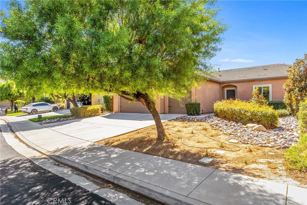 1371 Laurestine Property Photo 3