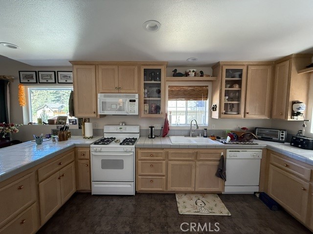 647 Lone Pine Property Photo 4