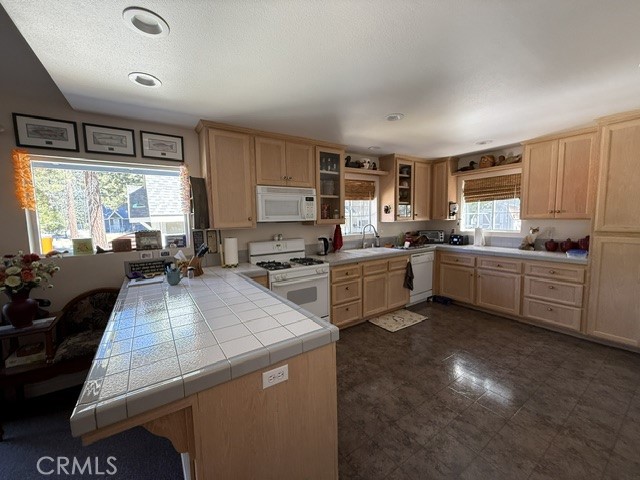 647 Lone Pine Property Photo 8