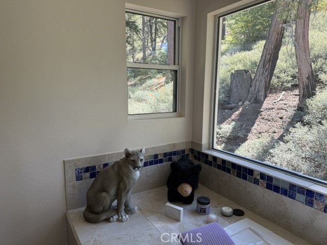 647 Lone Pine Property Photo 15