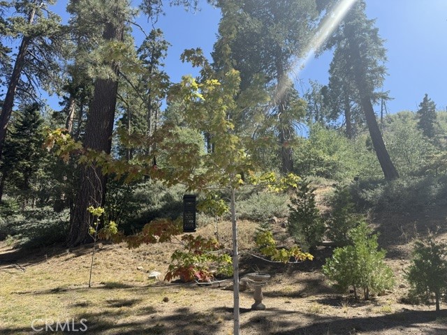 647 Lone Pine Property Photo 54
