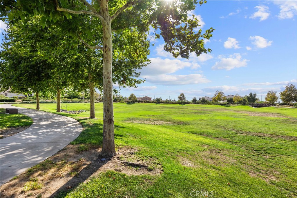2080 Clementine Street Property Photo 45