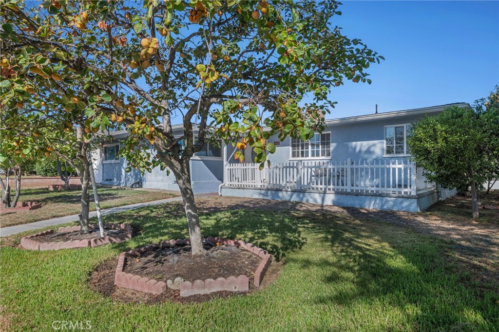11461 Flower Street Property Photo 2