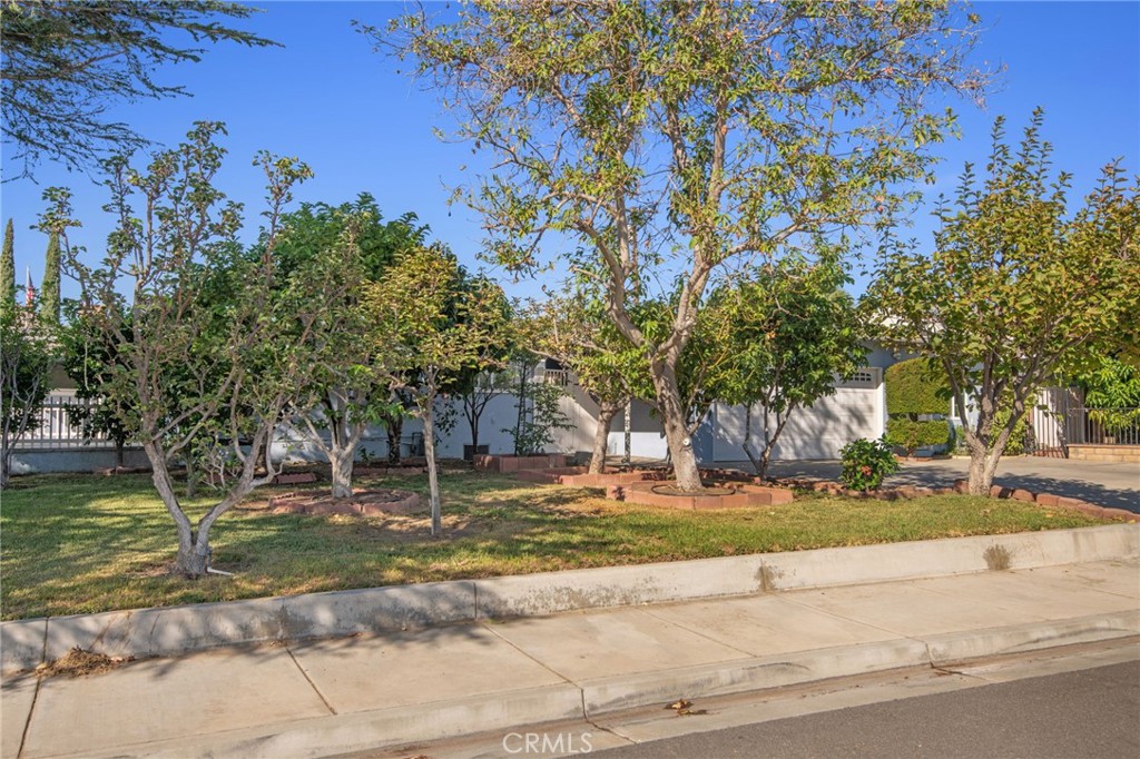 11461 Flower Street Property Photo 34