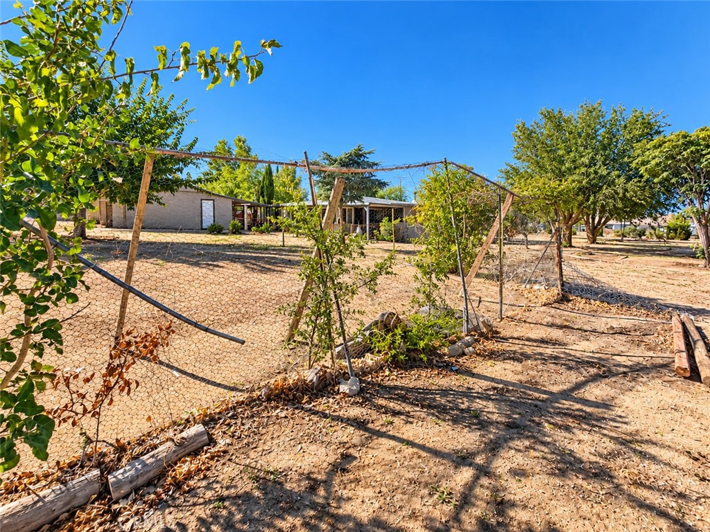 32461 Morse Lane Property Photo 37
