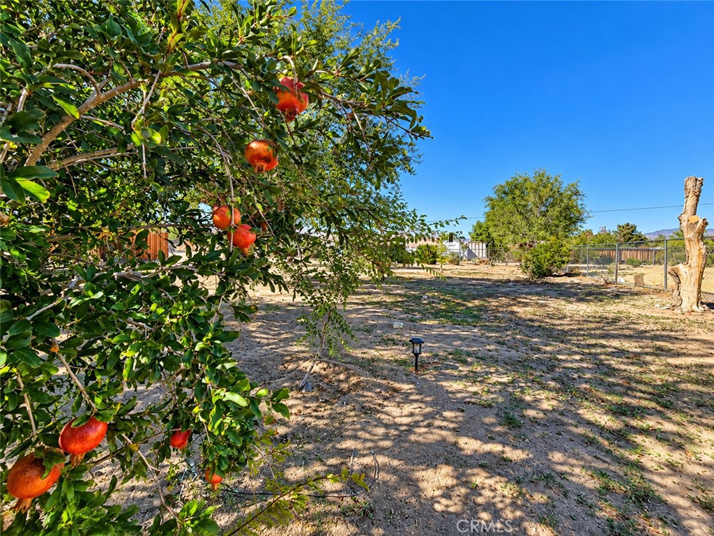 32461 Morse Lane Property Photo 43