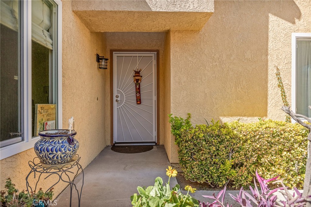 28909 Jasmine Creek Lane Property Photo 2