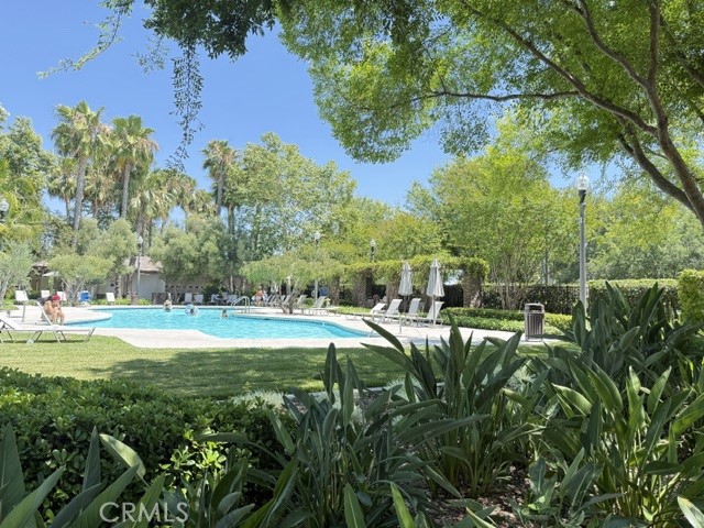 14559 Norfolk Property Photo 28