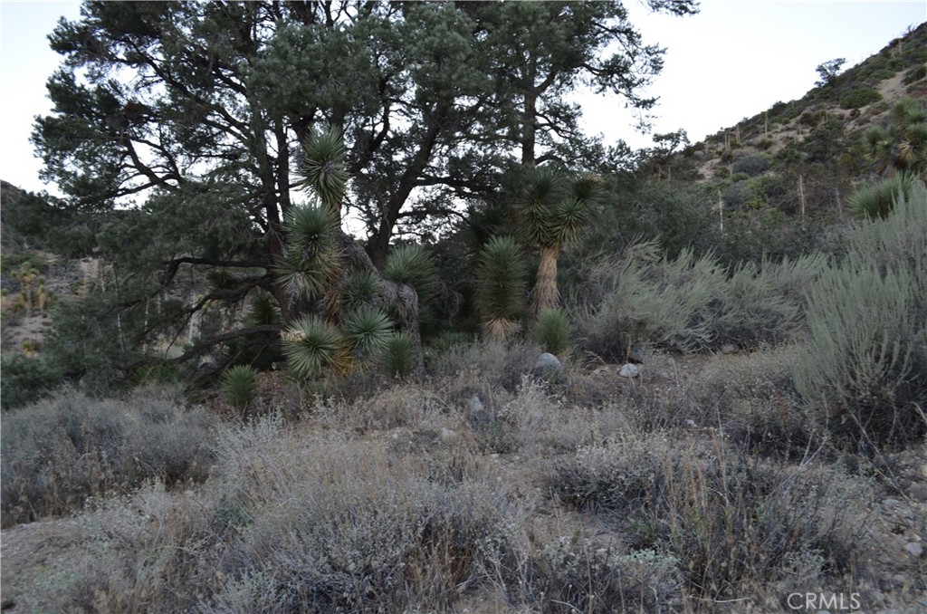 0 Verde Property Photo 2