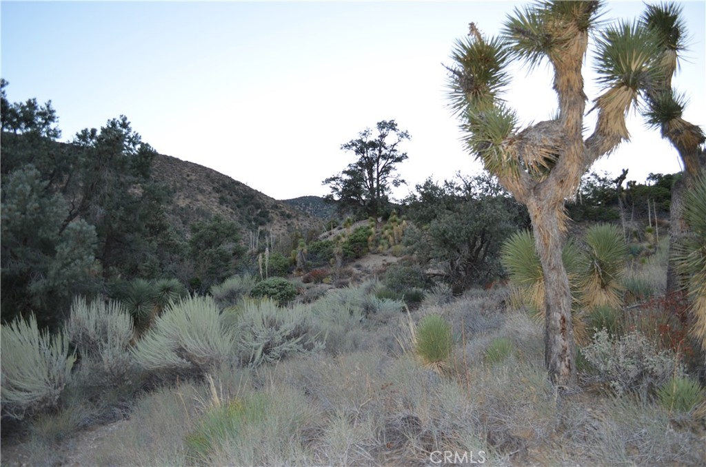 0 Verde Property Photo 3