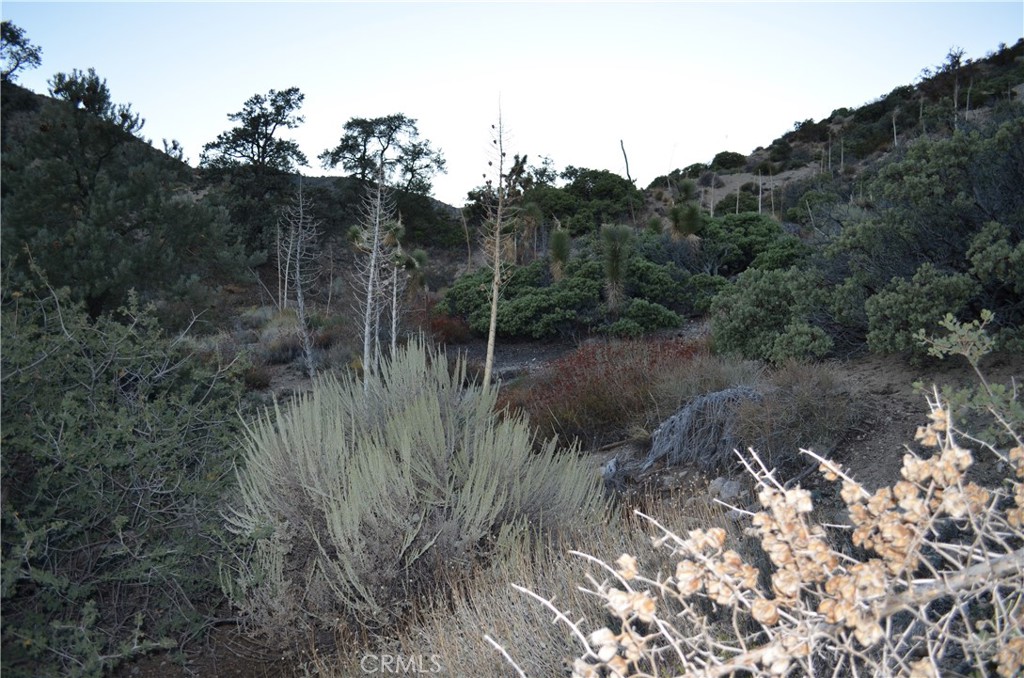 0 Verde Property Photo 4
