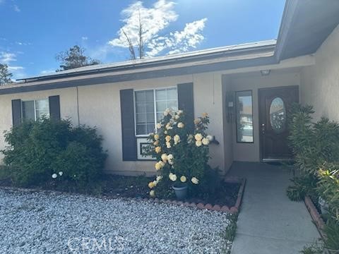 12850 Desert Creek Property Photo 2