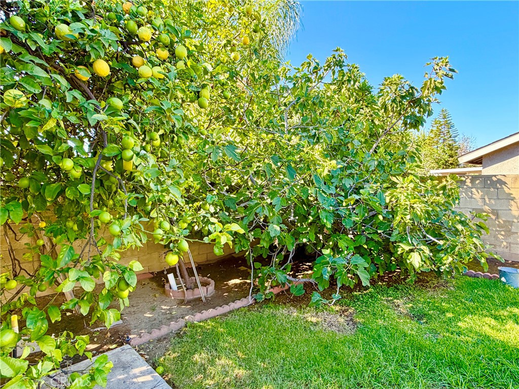 4595 Wheeler Property Photo 18